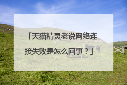天猫精灵老说网络连接失败是怎么回事?