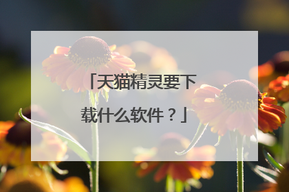 天猫精灵要下载什么软件?
