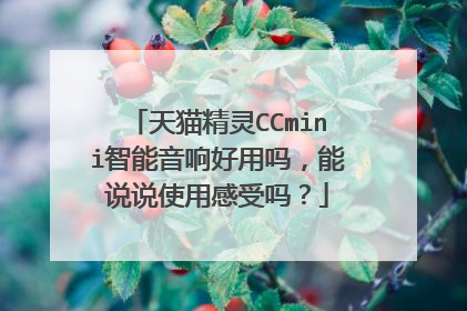 天猫精灵CCmini智能音响好用吗，能说说使用感受吗？