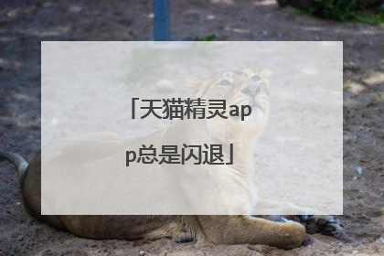 天猫精灵app总是闪退