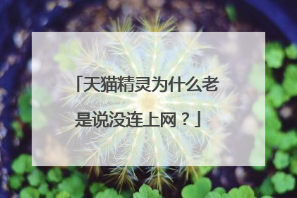 天猫精灵为什么老是说没连上网?