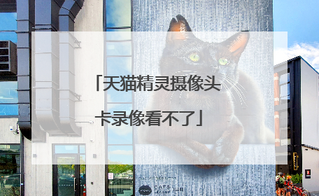 天猫精灵摄像头卡录像看不了