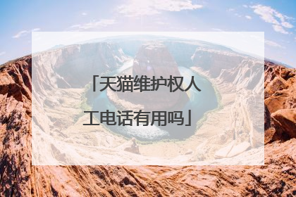 天猫维护权人工电话有用吗