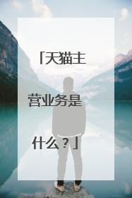 天猫主营业务是什么?
