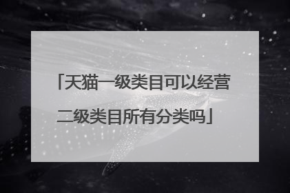 天猫一级类目可以经营二级类目所有分类吗
