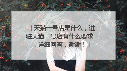 天猫一号店是什么，进驻天猫一号店有什么要求，详细回答，谢谢！
