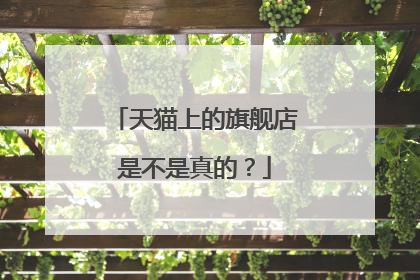 天猫上的旗舰店是不是真的?