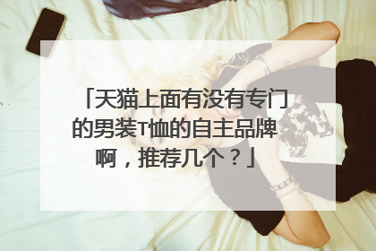 天猫上面有没有专门的男装T恤的自主品牌啊,推荐几个?
