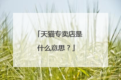 天猫专卖店是什么意思？