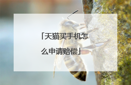 天猫买手机怎么申请赔偿