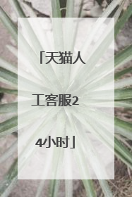天猫人工客服24小时