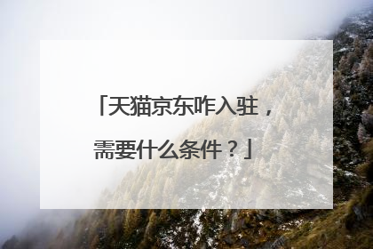 天猫京东咋入驻,需要什么条件?