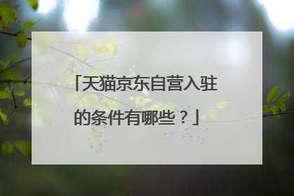 天猫京东自营入驻的条件有哪些?