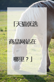 天猫优选商品网站在哪里?
