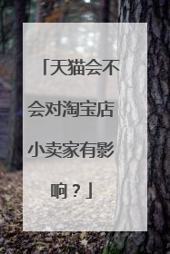天猫会不会对淘宝店小卖家有影响？