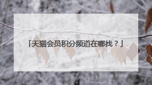 天猫会员积分频道在哪找?