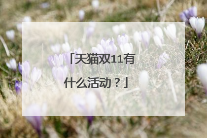 天猫双11有什么活动?