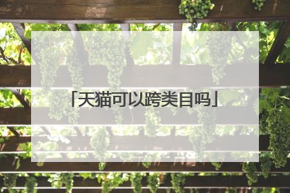 天猫可以跨类目吗