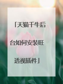 天猫千牛后台如何安装旺透视插件