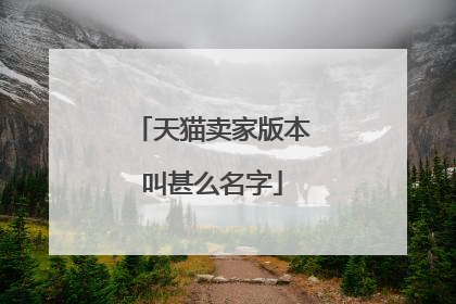 天猫卖家版本叫甚么名字