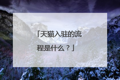 天猫入驻的流程是什么？