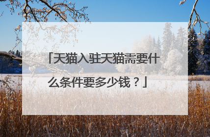 天猫入驻天猫需要什么条件要多少钱？