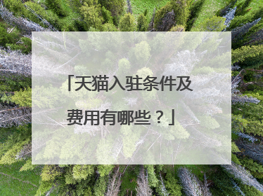 天猫入驻条件及费用有哪些?
