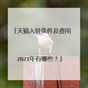 天猫入驻条件及费用2021年有哪些?