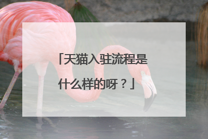 天猫入驻流程是什么样的呀?