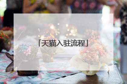 天猫入驻流程