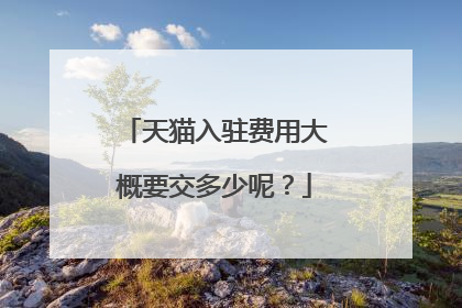 天猫入驻费用大概要交多少呢?