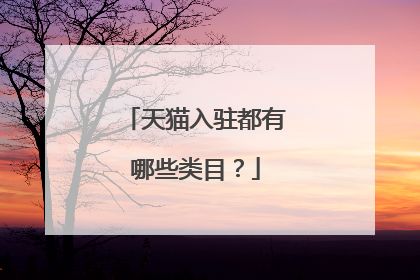天猫入驻都有哪些类目?
