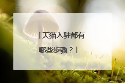 天猫入驻都有哪些步骤？