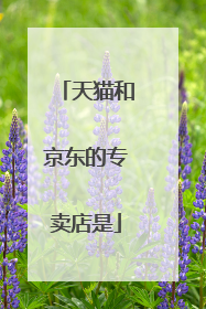 天猫和京东的专卖店是