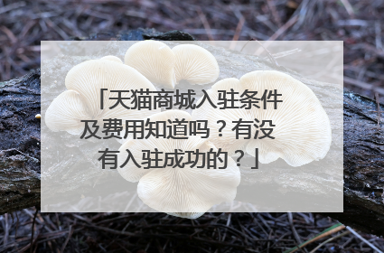 天猫商城入驻条件及费用知道吗?有没有入驻成功的?