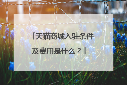 天猫商城入驻条件及费用是什么?