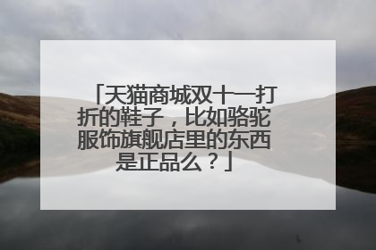 天猫商城双十一打折的鞋子,比如骆驼服饰旗舰店里的东西是正品么?
