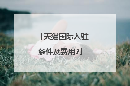 天猫国际入驻条件及费用?