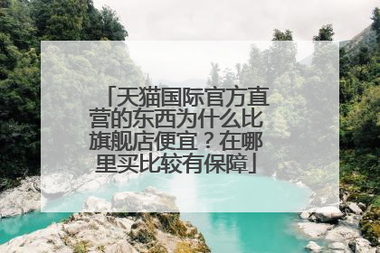 天猫国际官方直营的东西为什么比旗舰店便宜?在哪里买比较有保障