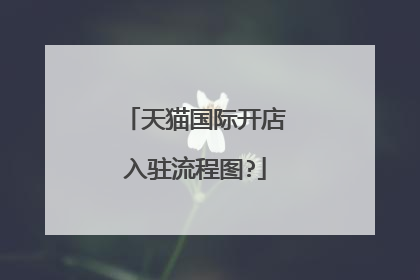 天猫国际开店入驻流程图?