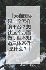 天猫国际是一个怎样的平台?想往这个方面做,但不知道具体条件是什么?