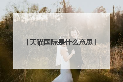 天猫国际是什么意思