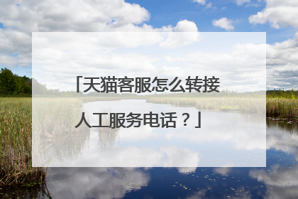 天猫客服怎么转接人工服务电话？