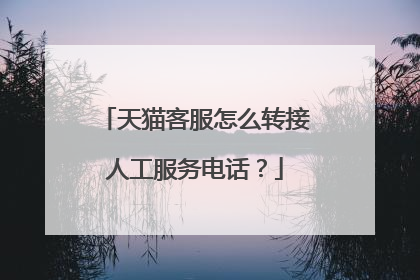 天猫客服怎么转接人工服务电话？