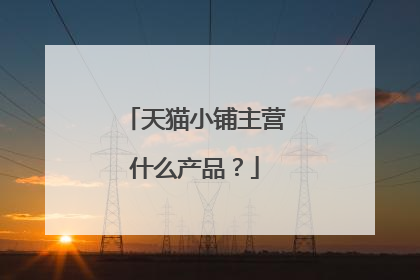 天猫小铺主营什么产品?