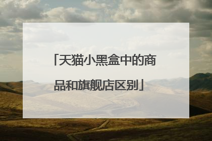 天猫小黑盒中的商品和旗舰店区别