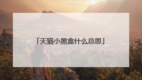 天猫小黑盒什么意思