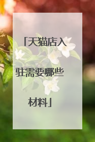 天猫店入驻需要哪些材料
