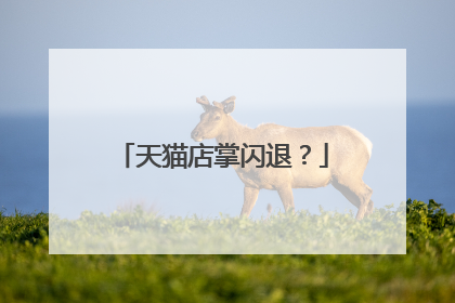 天猫店掌闪退？