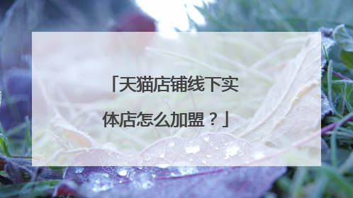 天猫店铺线下实体店怎么加盟?